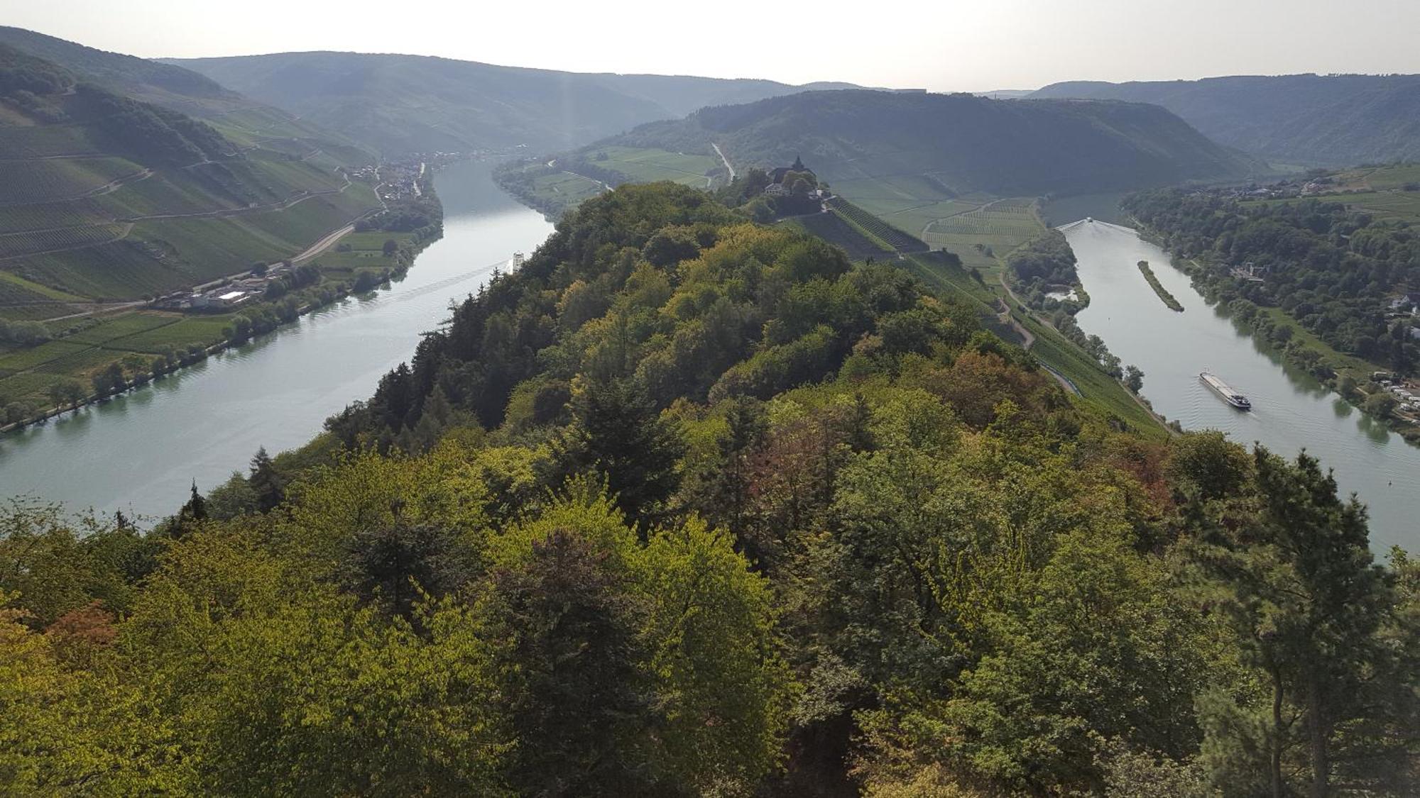 Sternenwald Alf