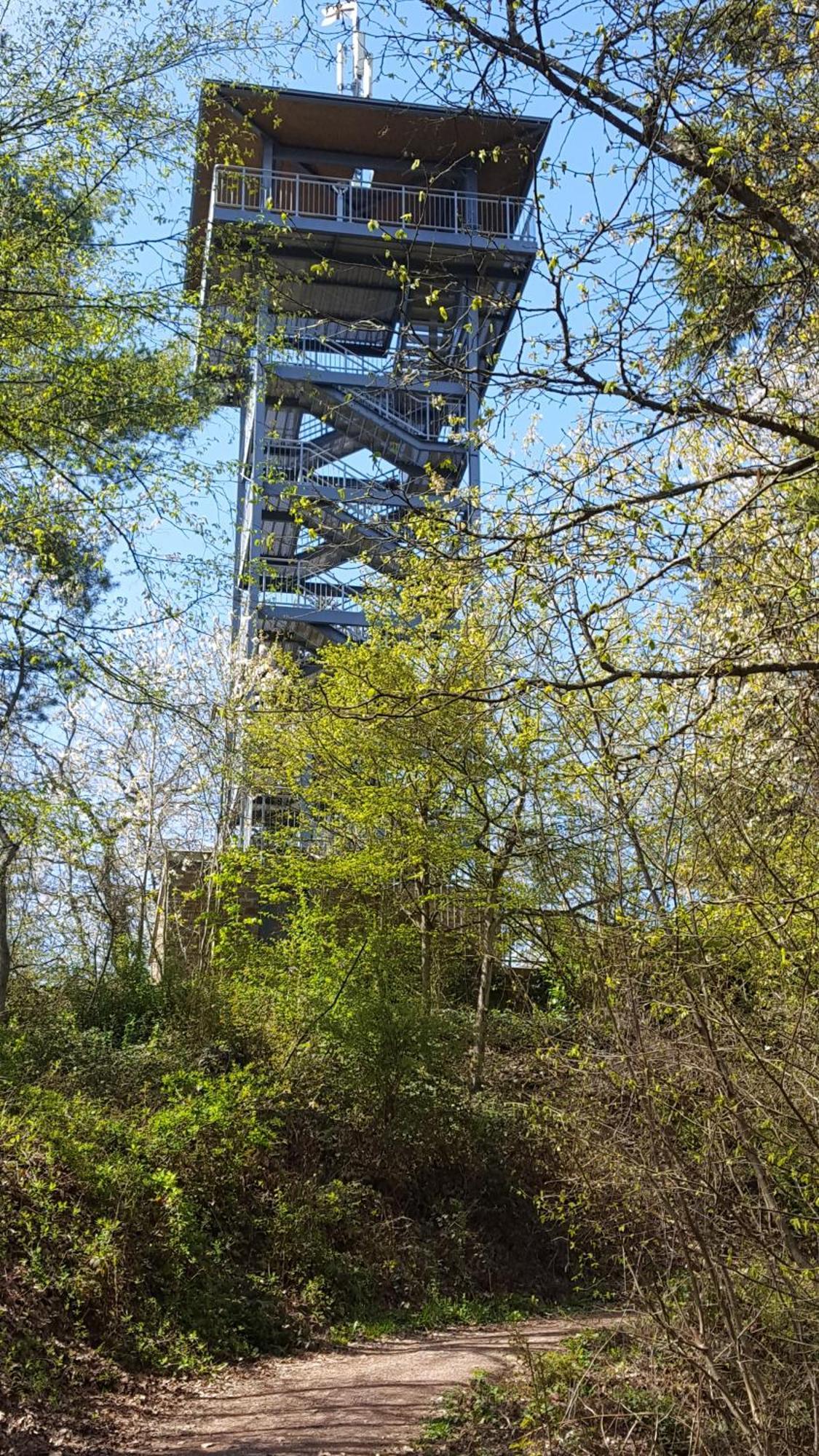 Sternenwald