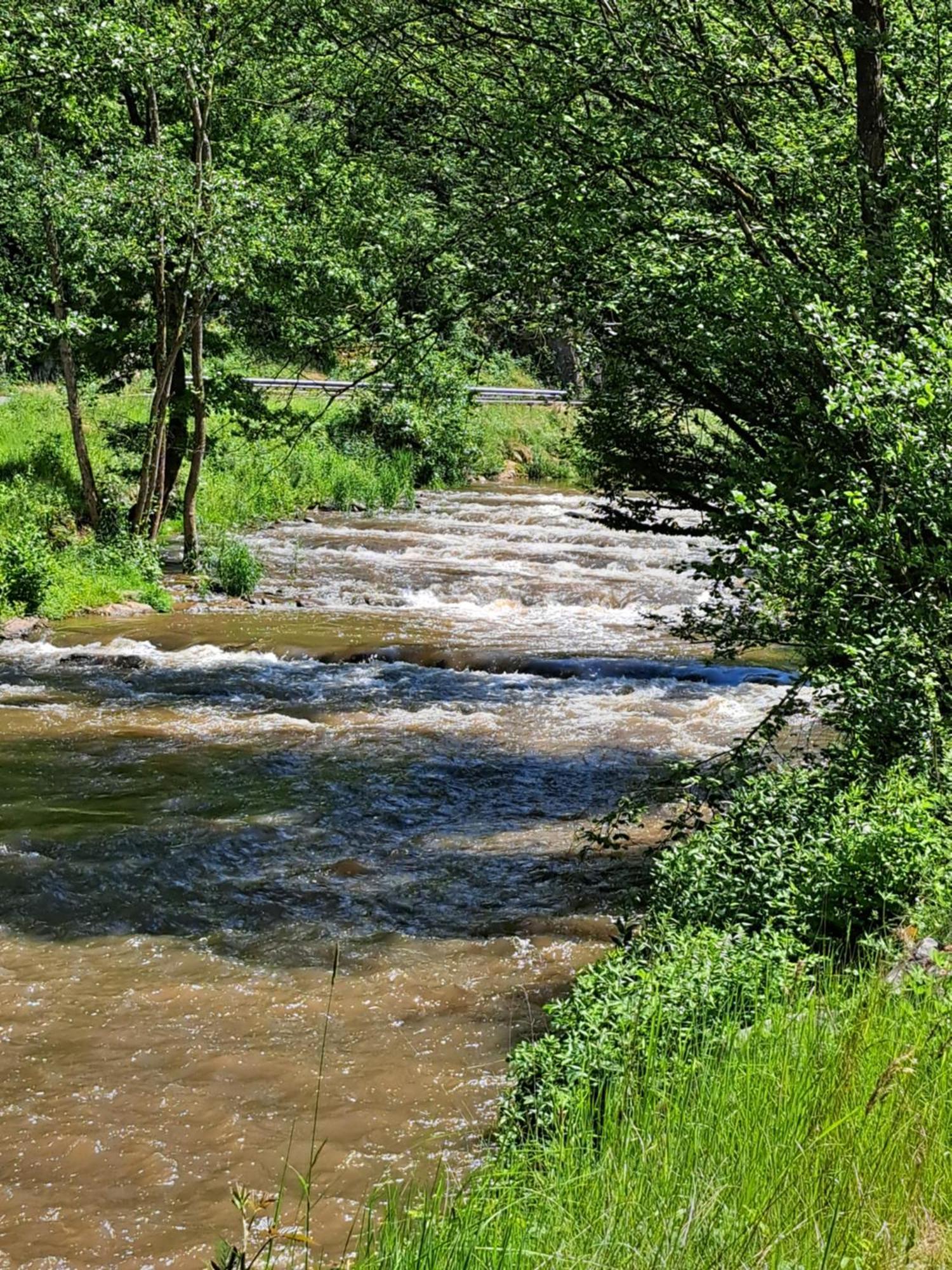 Sternenwald Alf